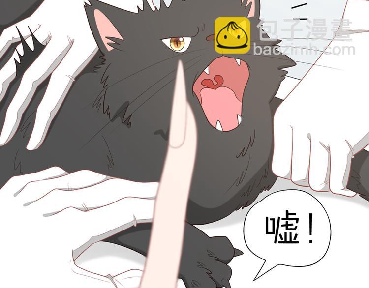 第58话 性感护工，在线撸猫(1/2)-第61话