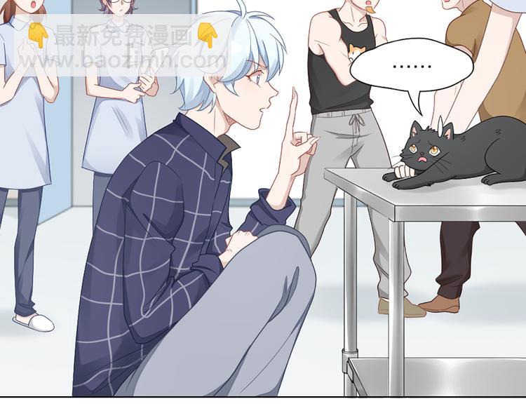 第58话 性感护工，在线撸猫(1/2)-第61话