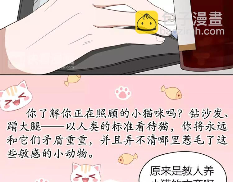 第8话 我的室友是只猫(1/2)-第9话