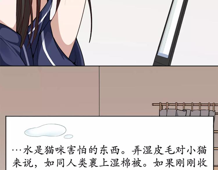 第8话 我的室友是只猫(1/2)-第9话