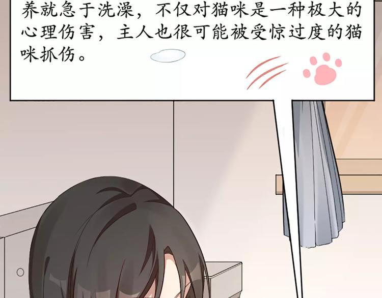 第8话 我的室友是只猫(1/2)-第9话