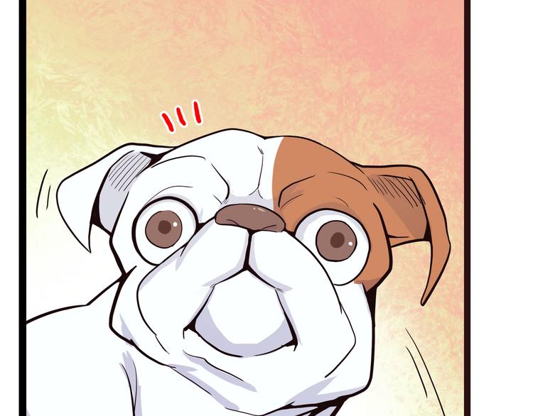 第9话 这期有战斗，不看就亏了！(1/3)-第9话