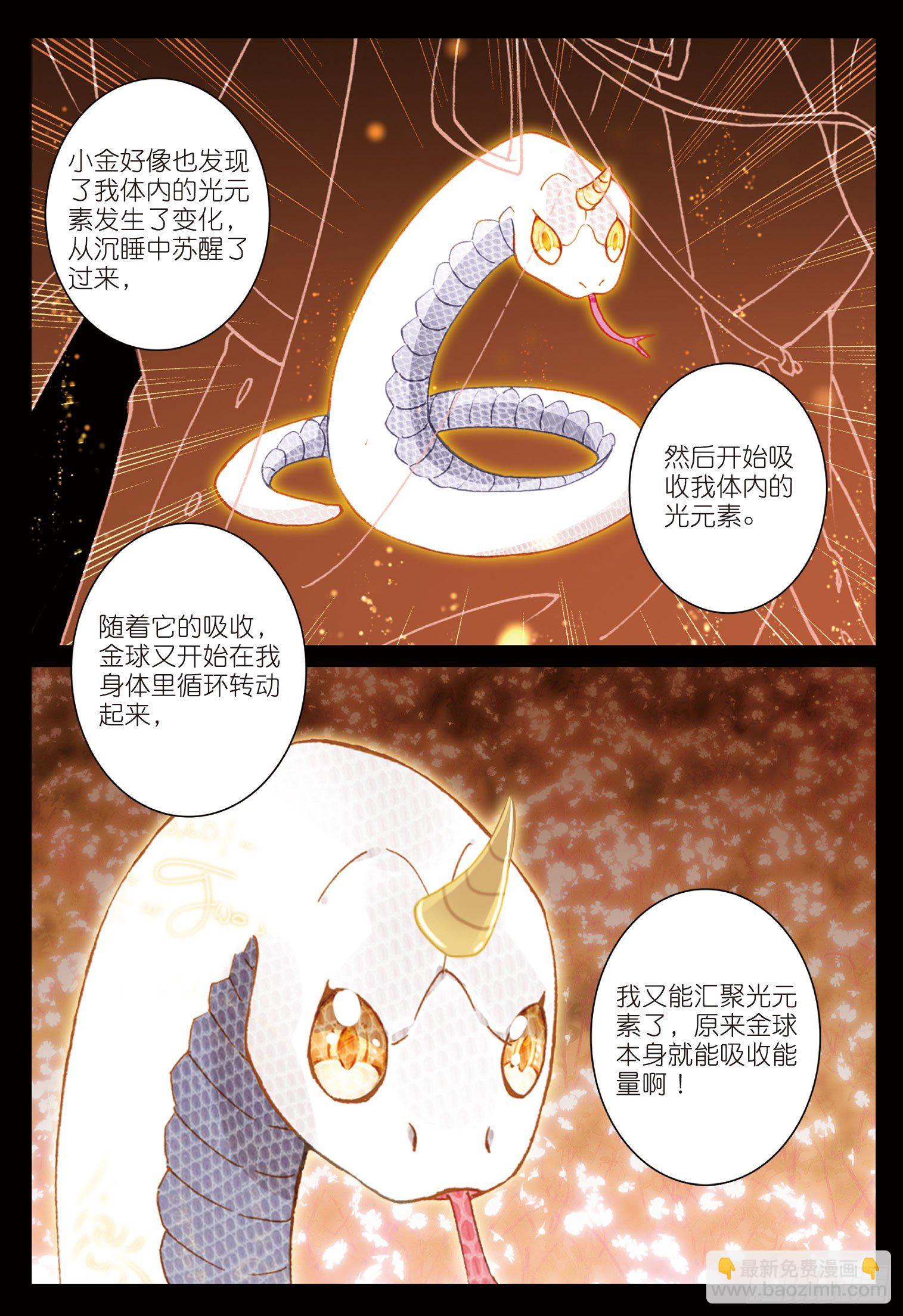 15 魔法能量球（下）-第29话