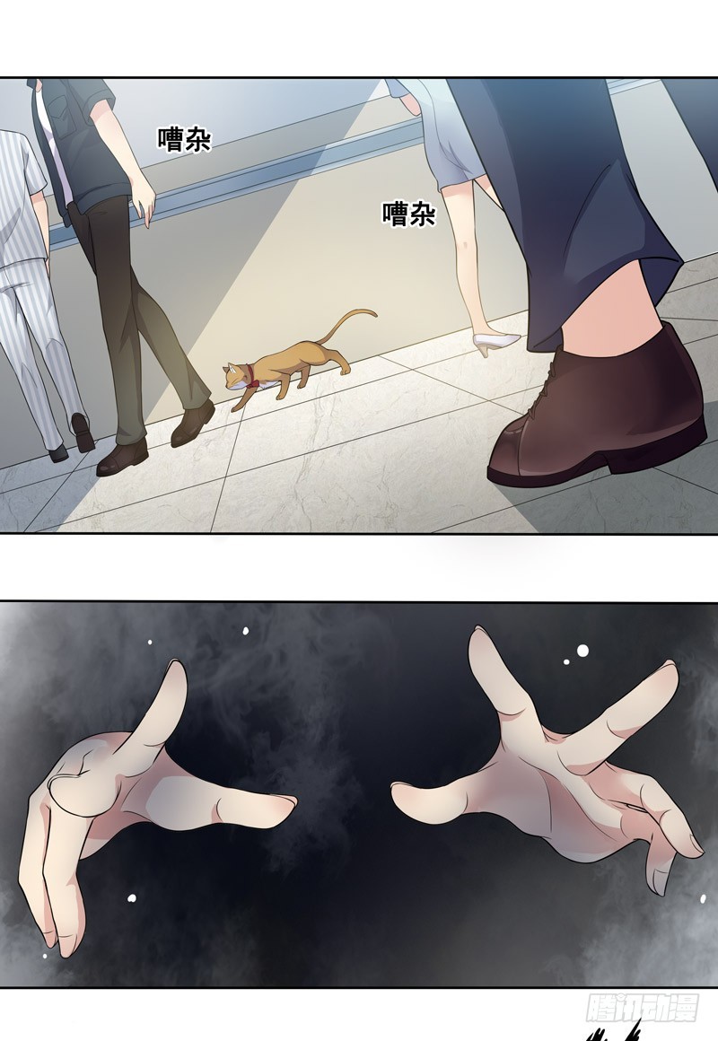 正反拼图04-第15话