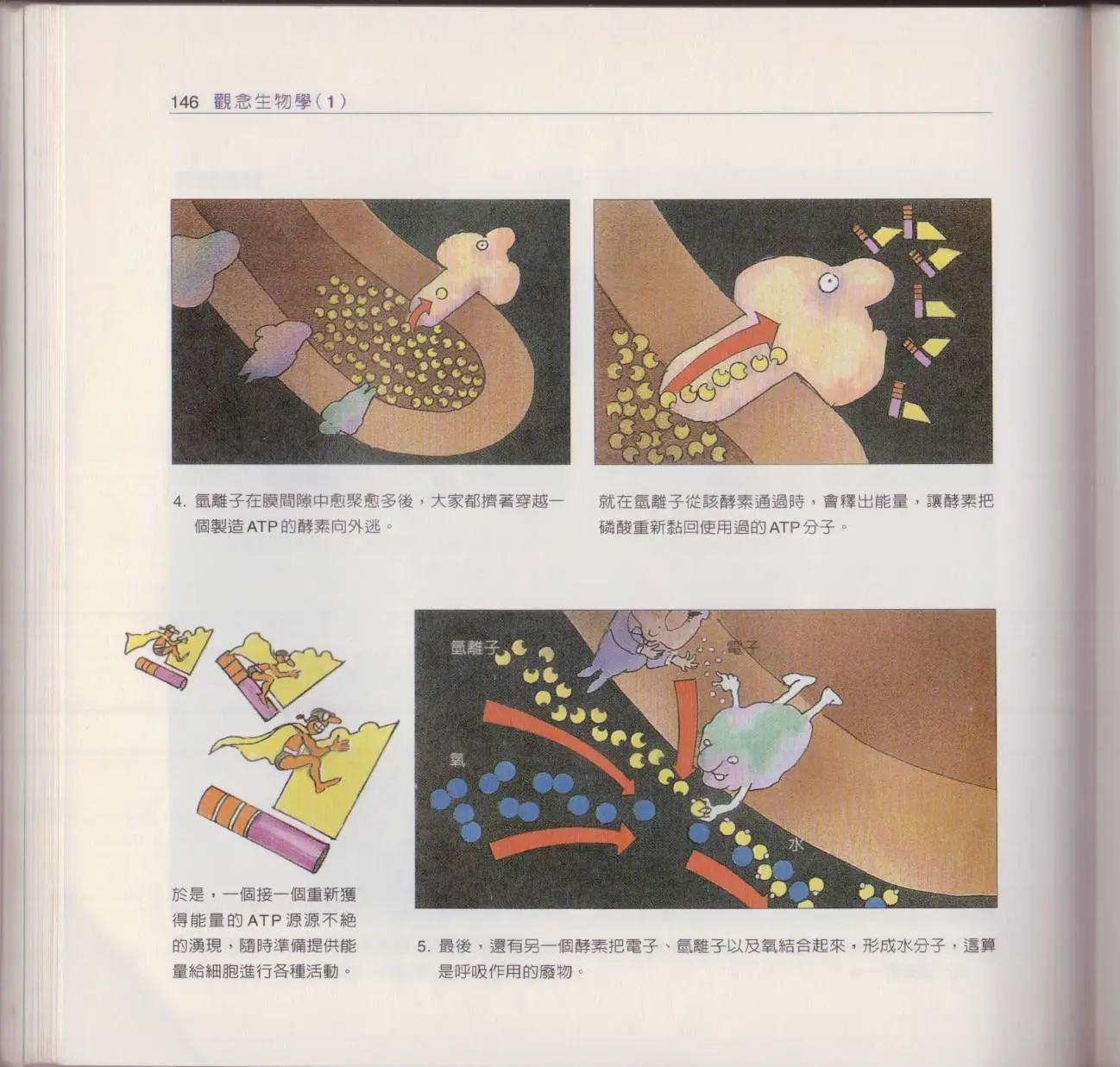 观念生物学 - 第01卷(4/5) - 7