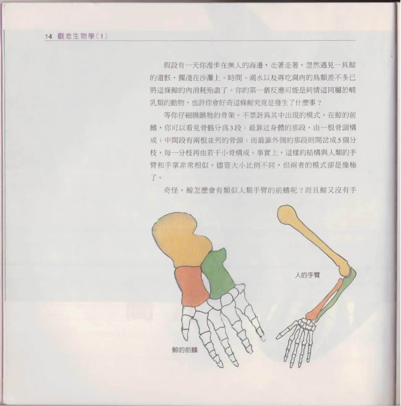 觀念生物學 - 第01卷(1/5) - 5