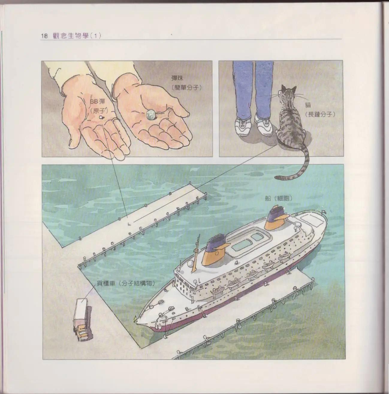 觀念生物學 - 第01卷(1/5) - 1