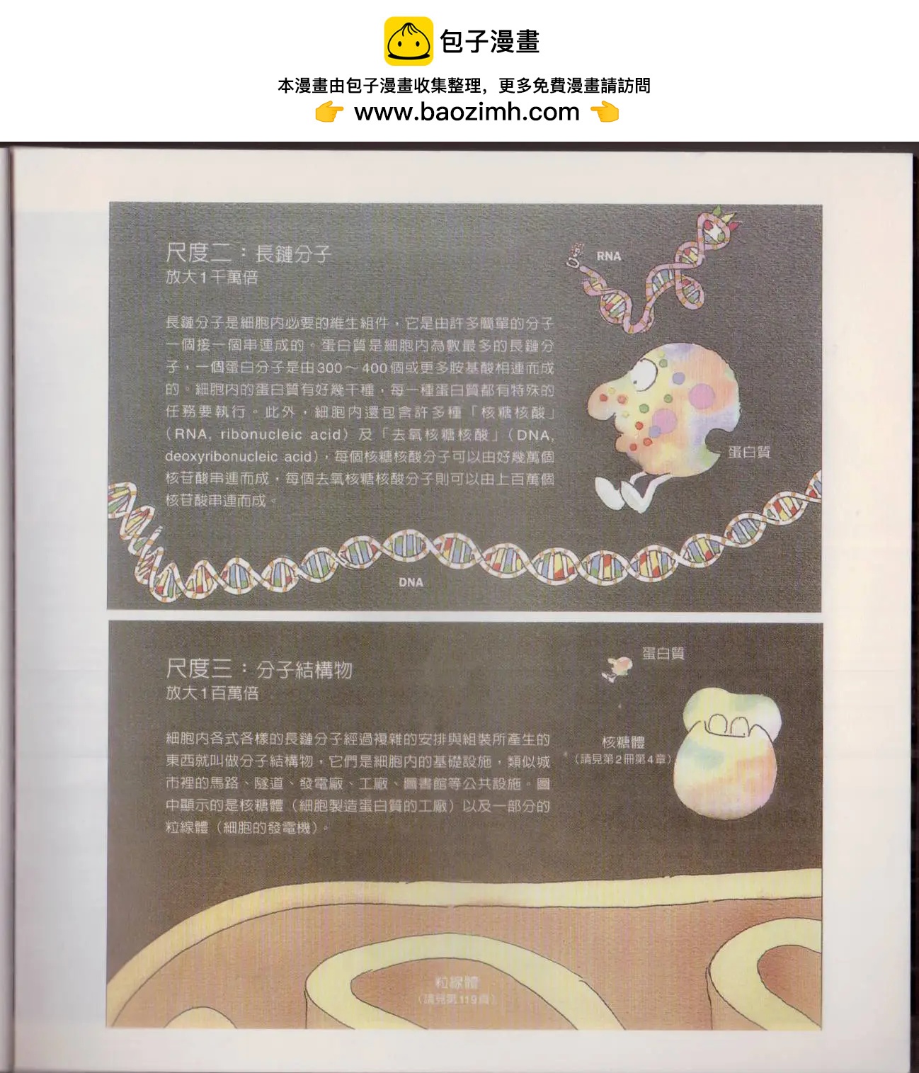 觀念生物學 - 第01卷(1/5) - 4