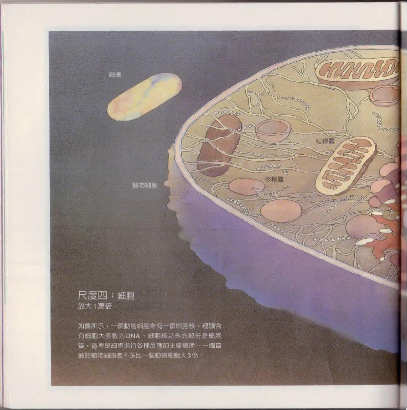 觀念生物學 - 第01卷(1/5) - 5