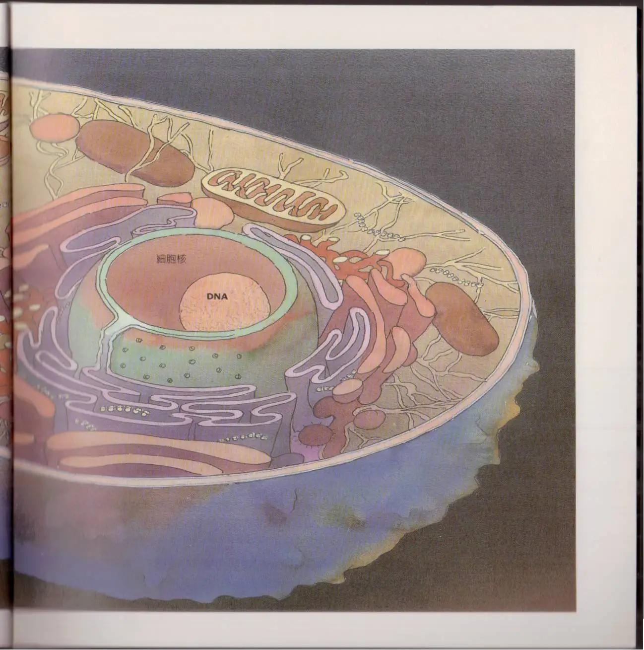 觀念生物學 - 第01卷(1/5) - 6