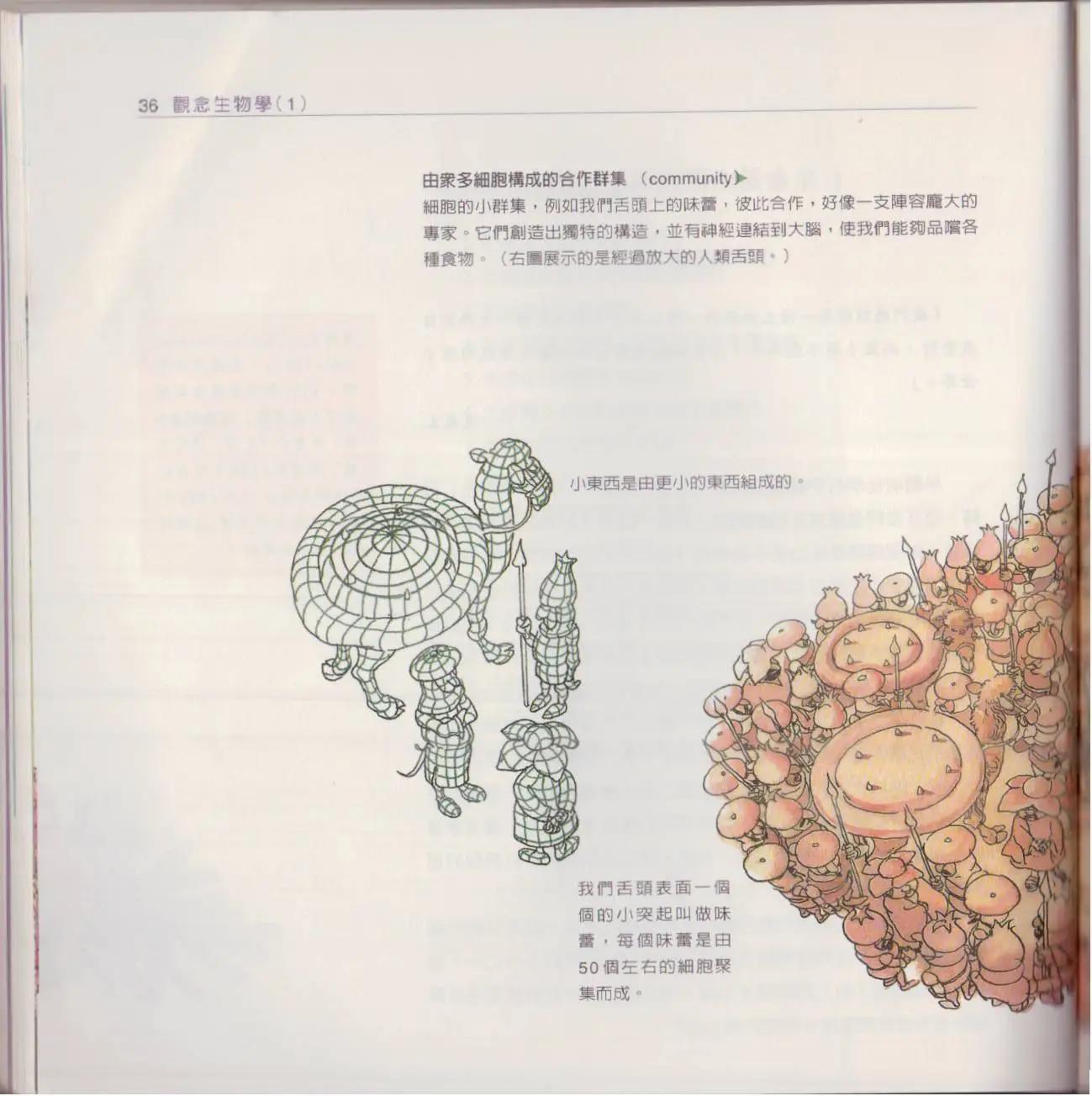 觀念生物學 - 第01卷(1/5) - 3