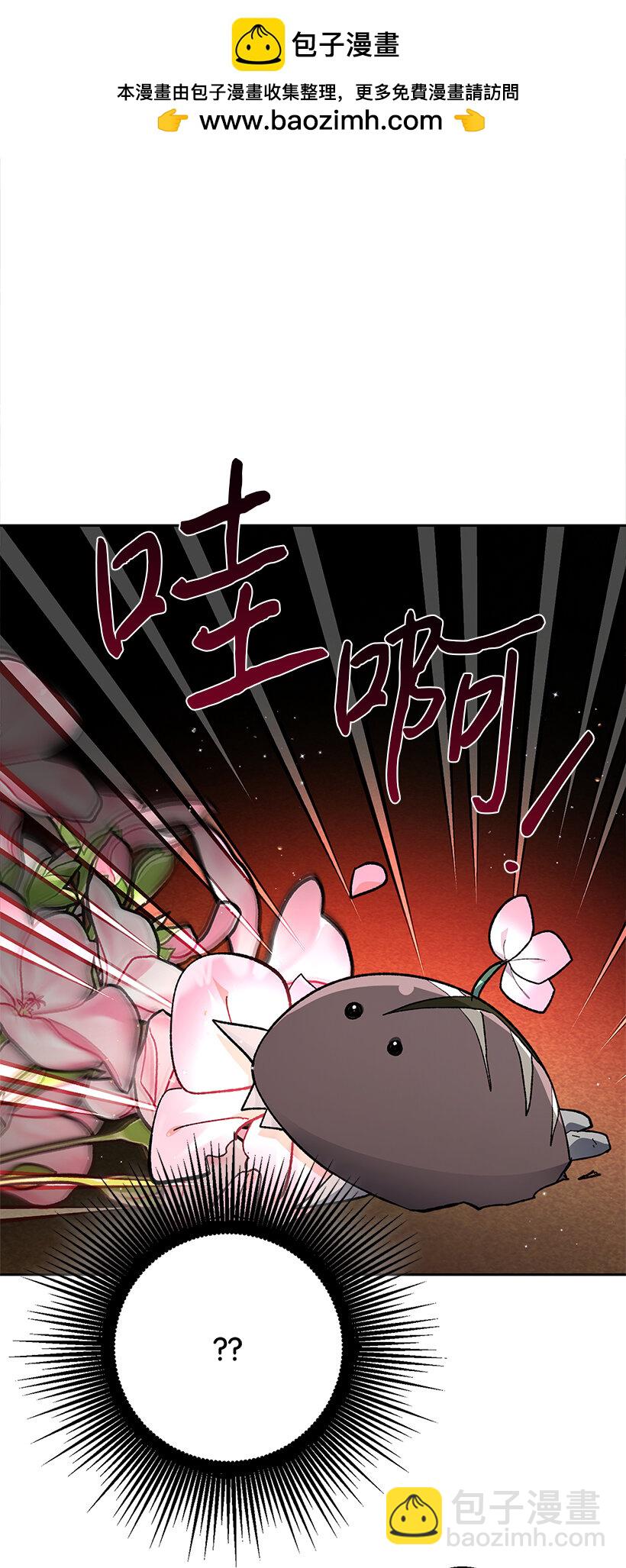 74 贝斯的第二皇子(1/2)-第75话