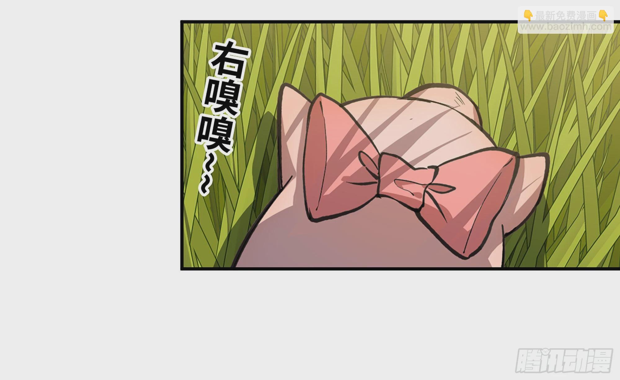 12- 野外(1/4)-第13话