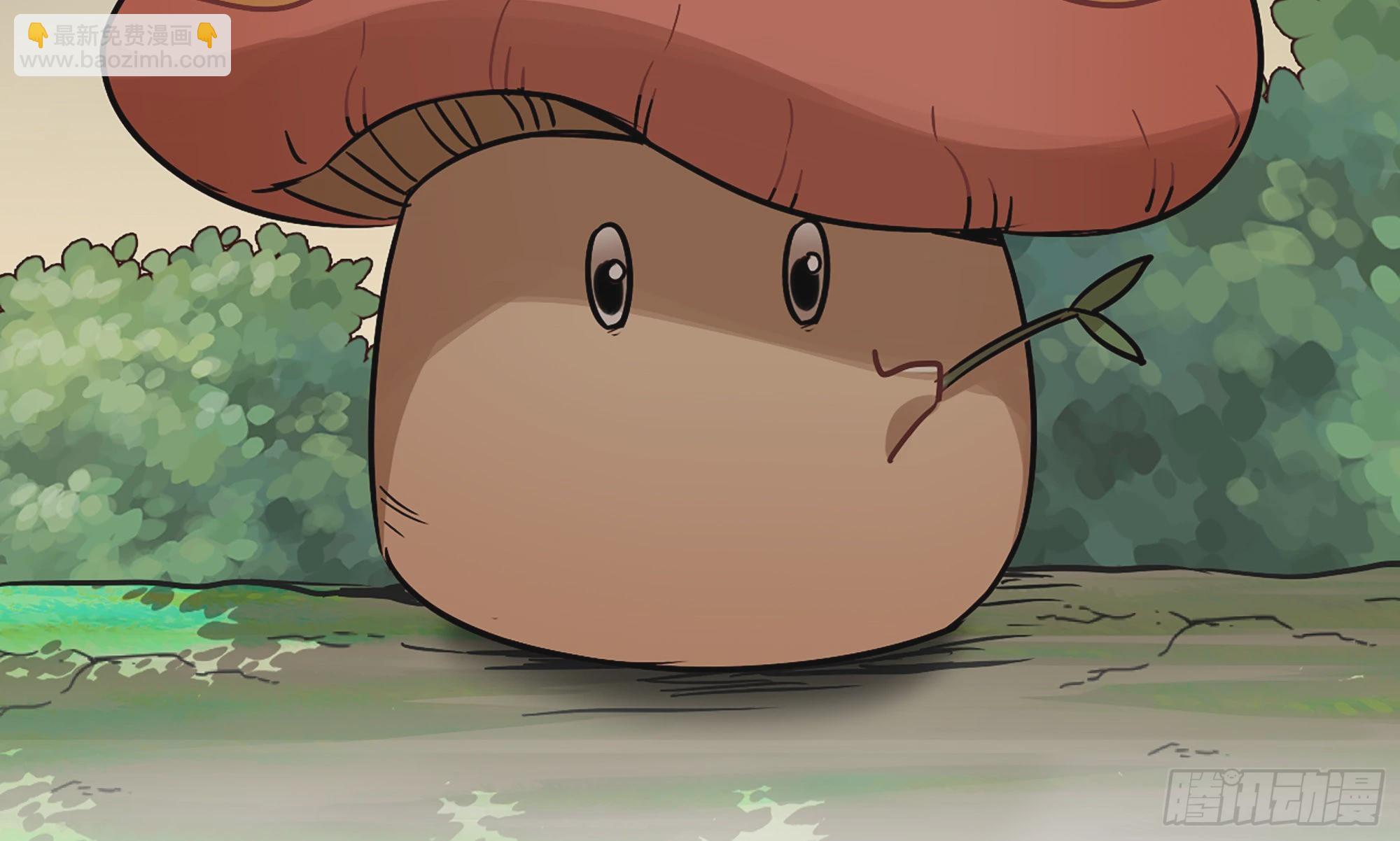 4-称霸新手村(1/4)-第5话