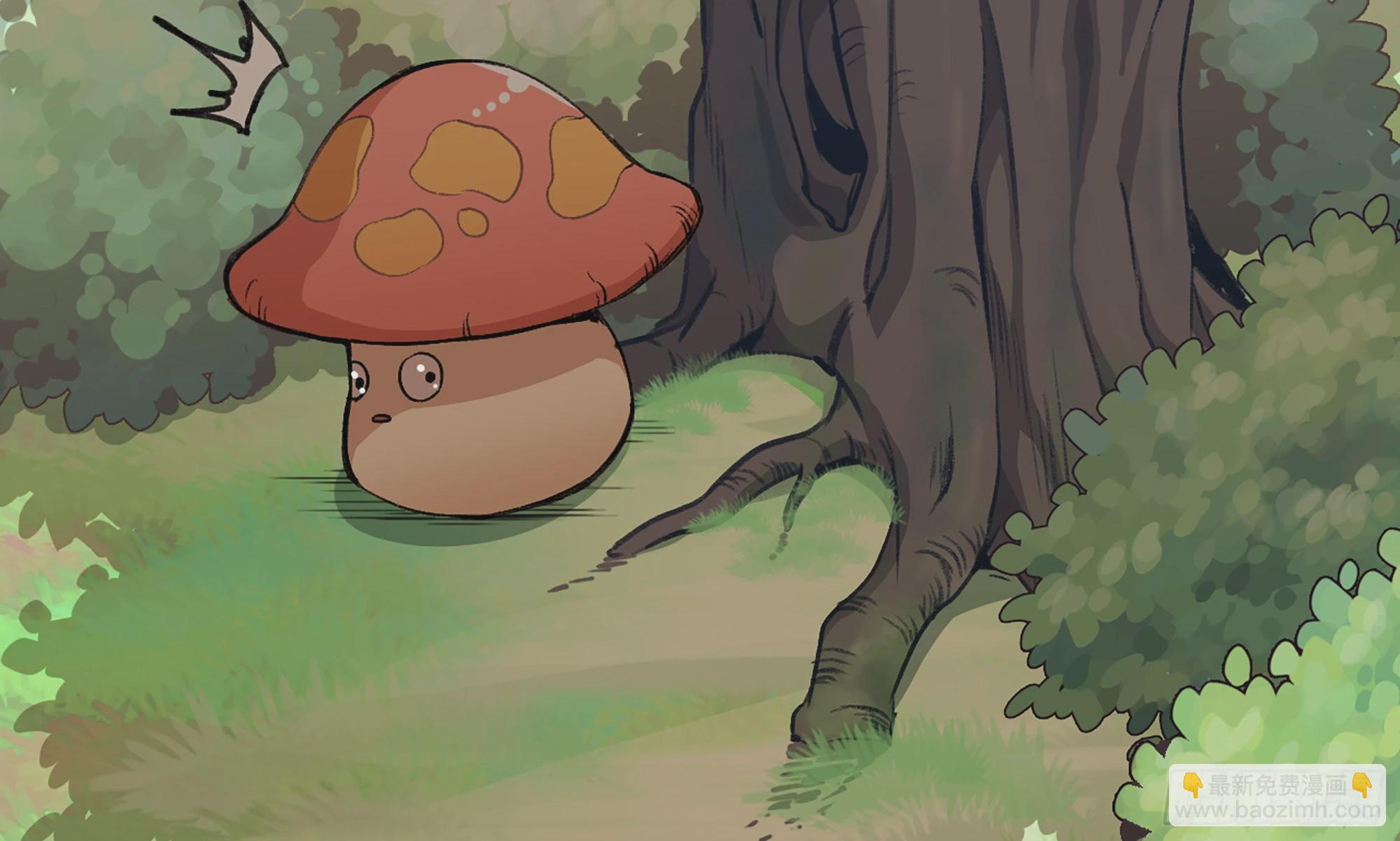 4-称霸新手村(1/4)-第5话