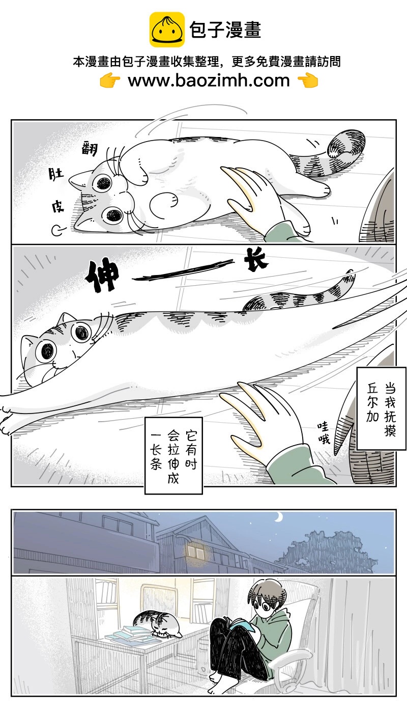 關於養貓我一直是新手 - 第168話 - 1