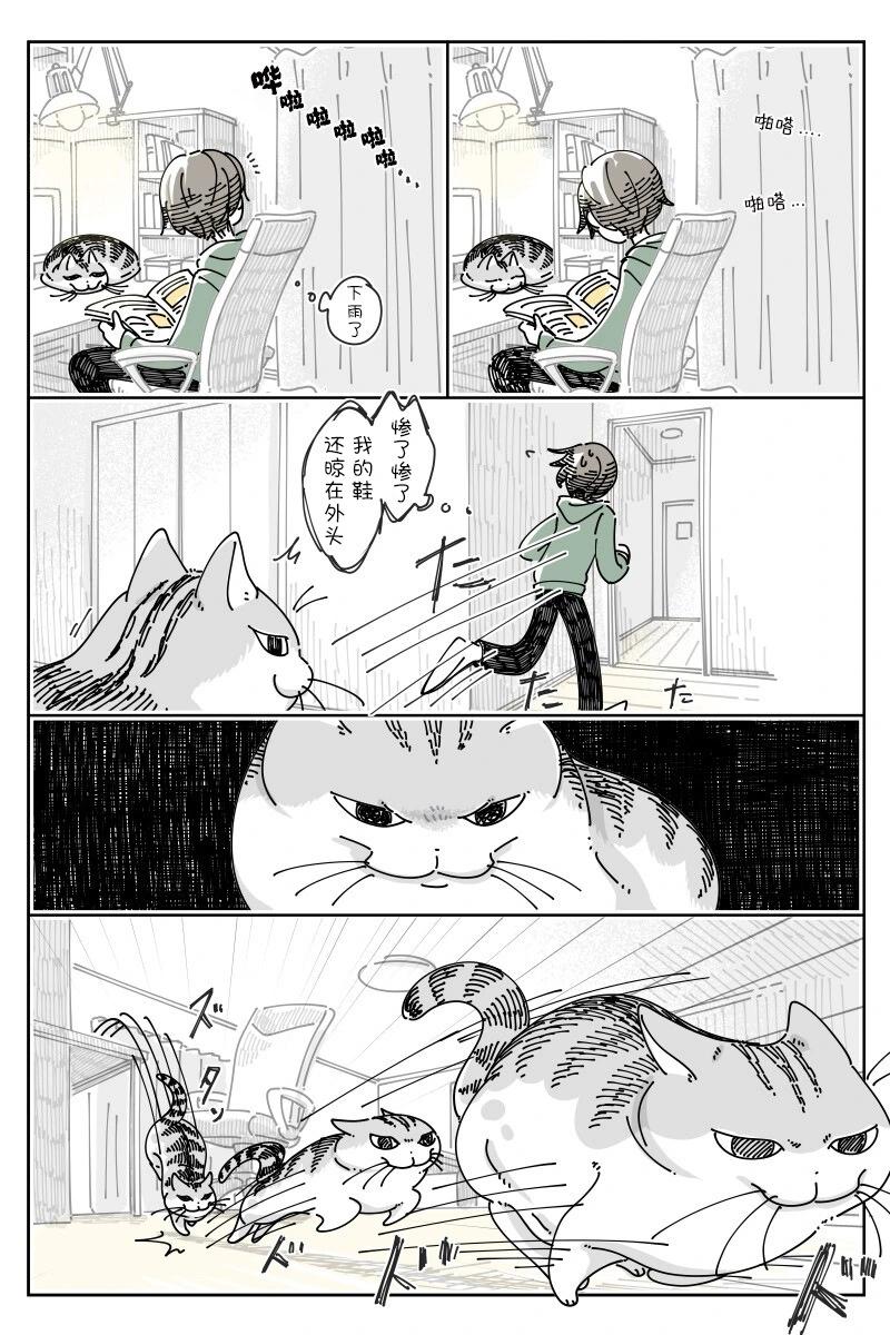 關於養貓我一直是新手 - 第194話 - 1