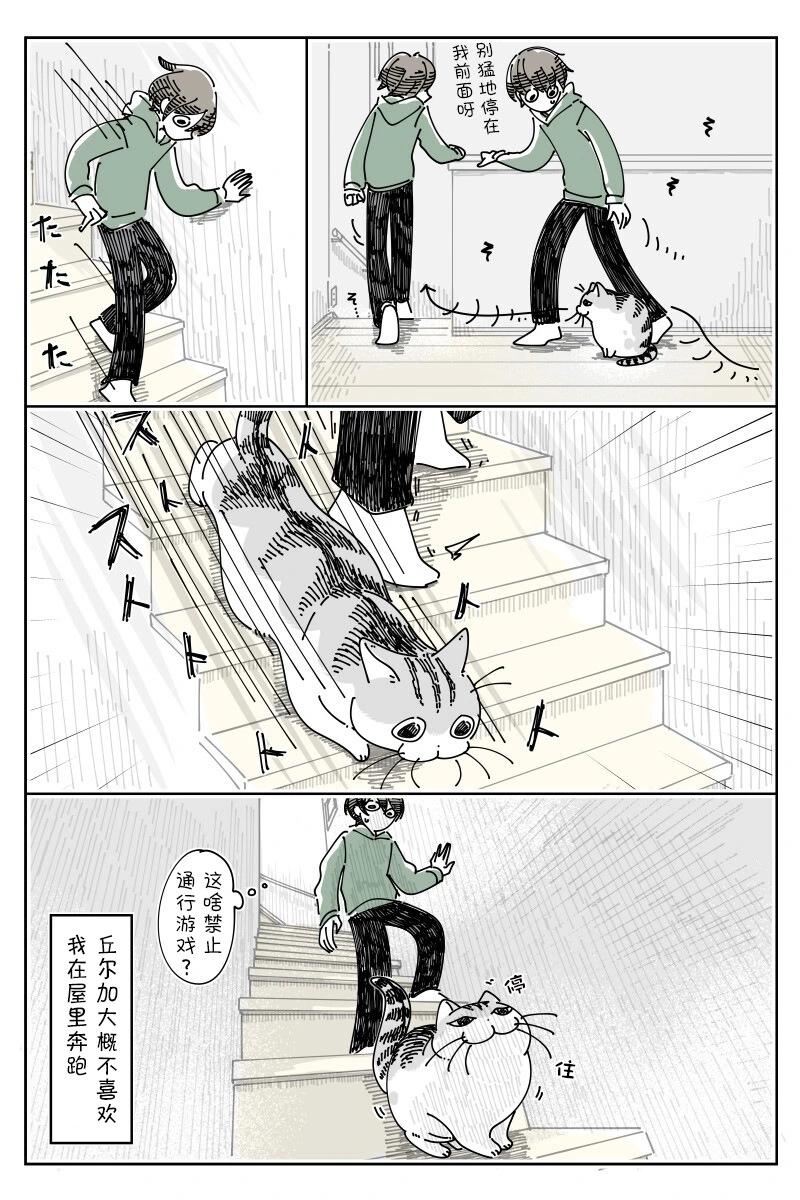 關於養貓我一直是新手 - 第194話 - 1