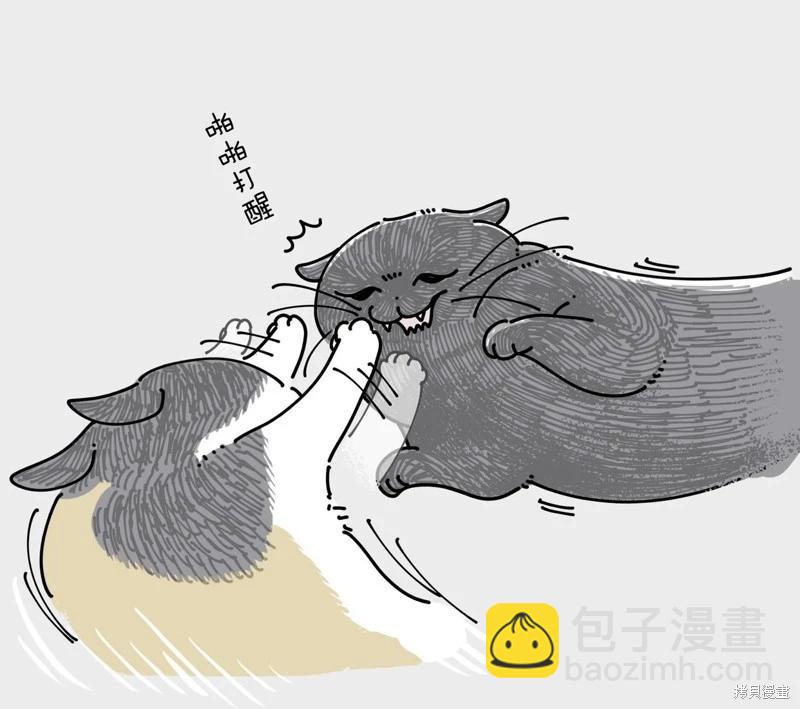 關於養貓我一直是新手 - 第245話 - 1
