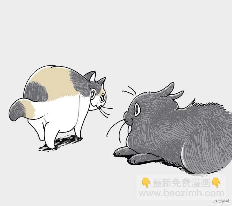 關於養貓我一直是新手 - 第245話 - 2