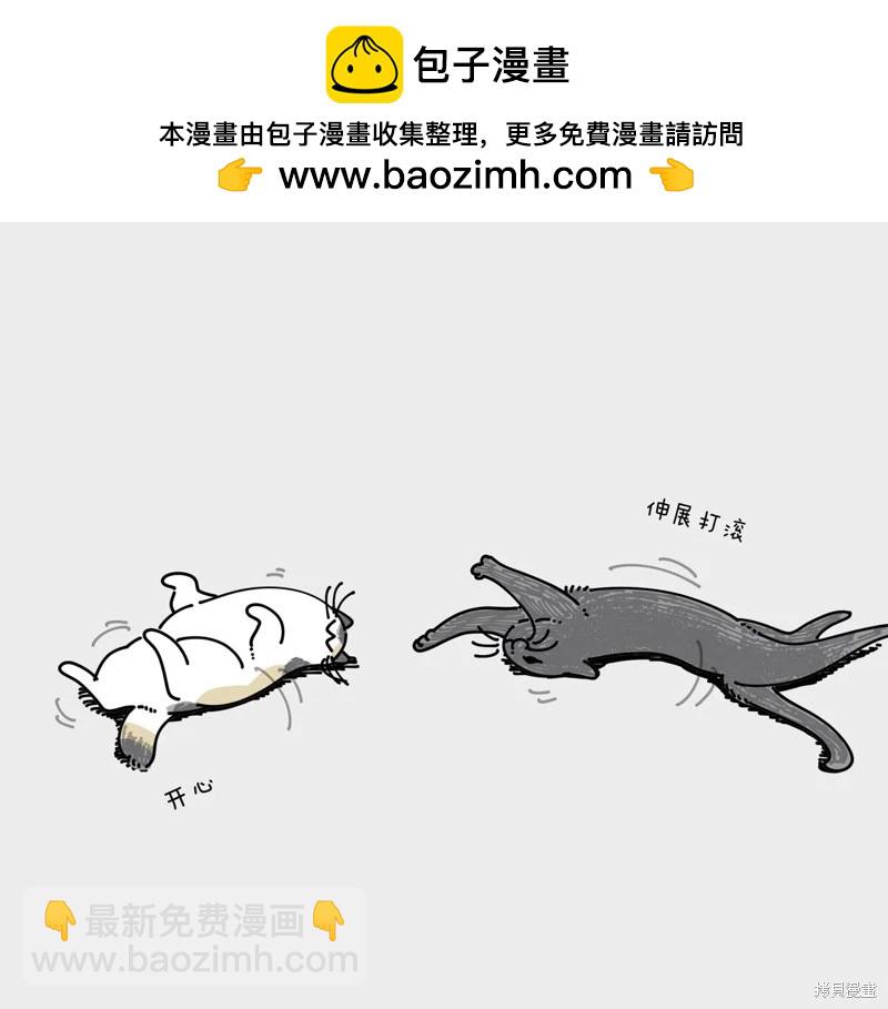 關於養貓我一直是新手 - 第245話 - 2