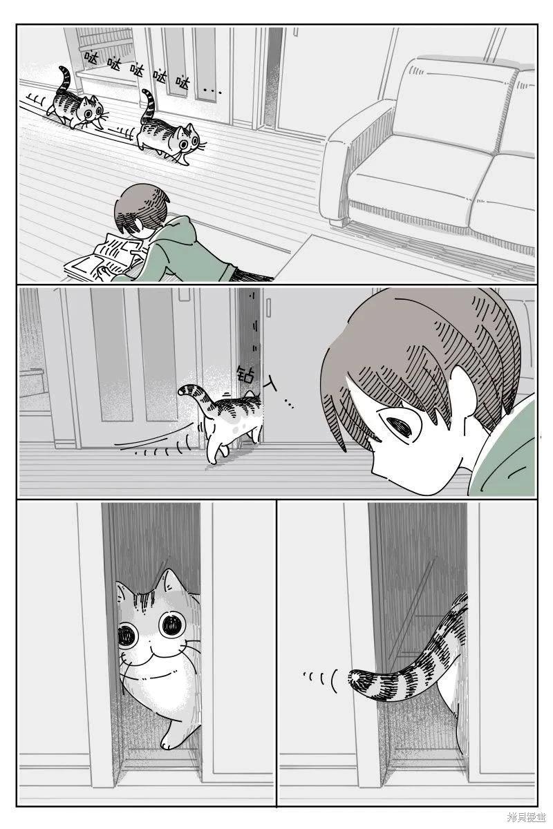 關於養貓我一直是新手 - 第247話 - 1