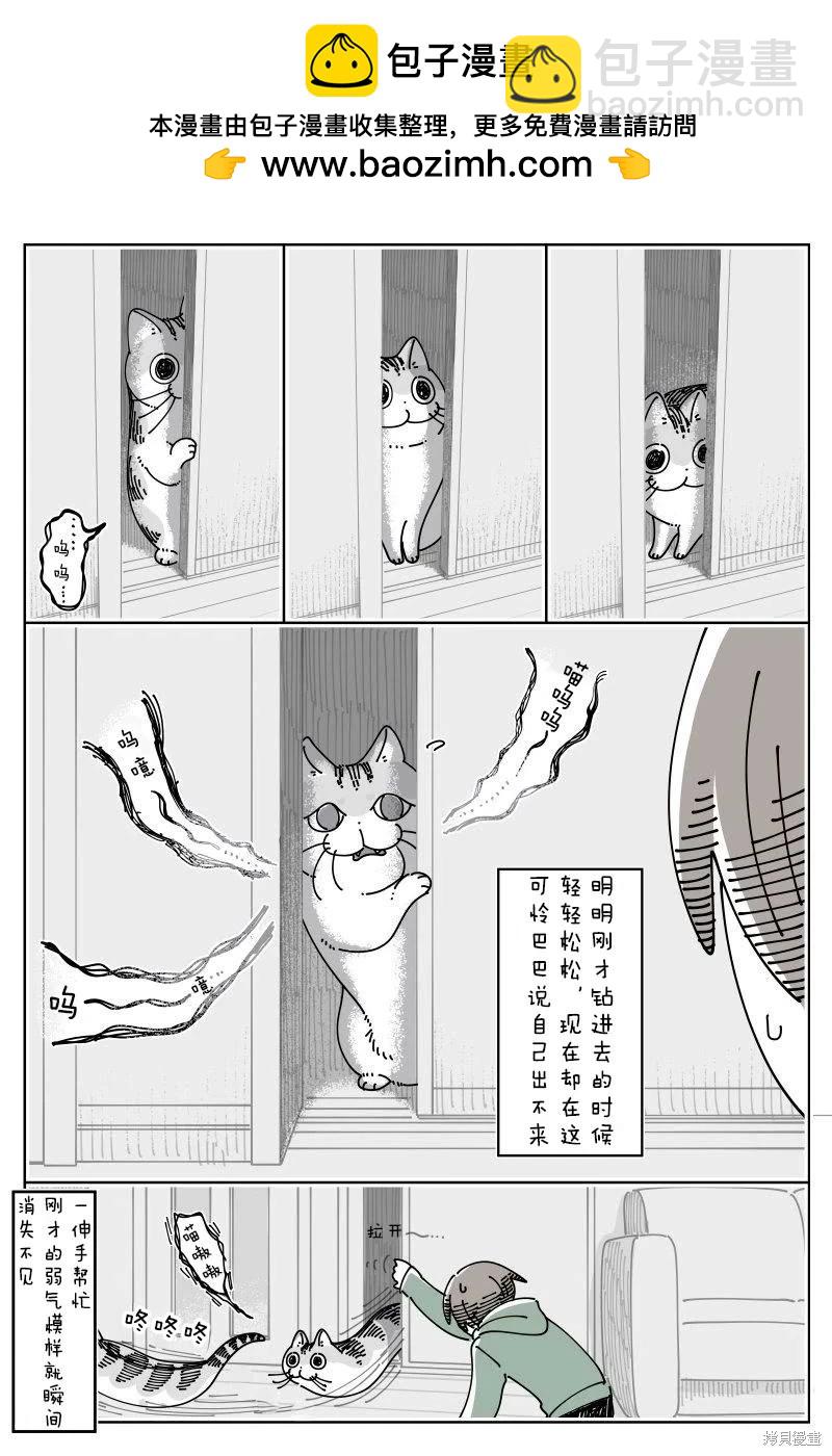 關於養貓我一直是新手 - 第247話 - 1
