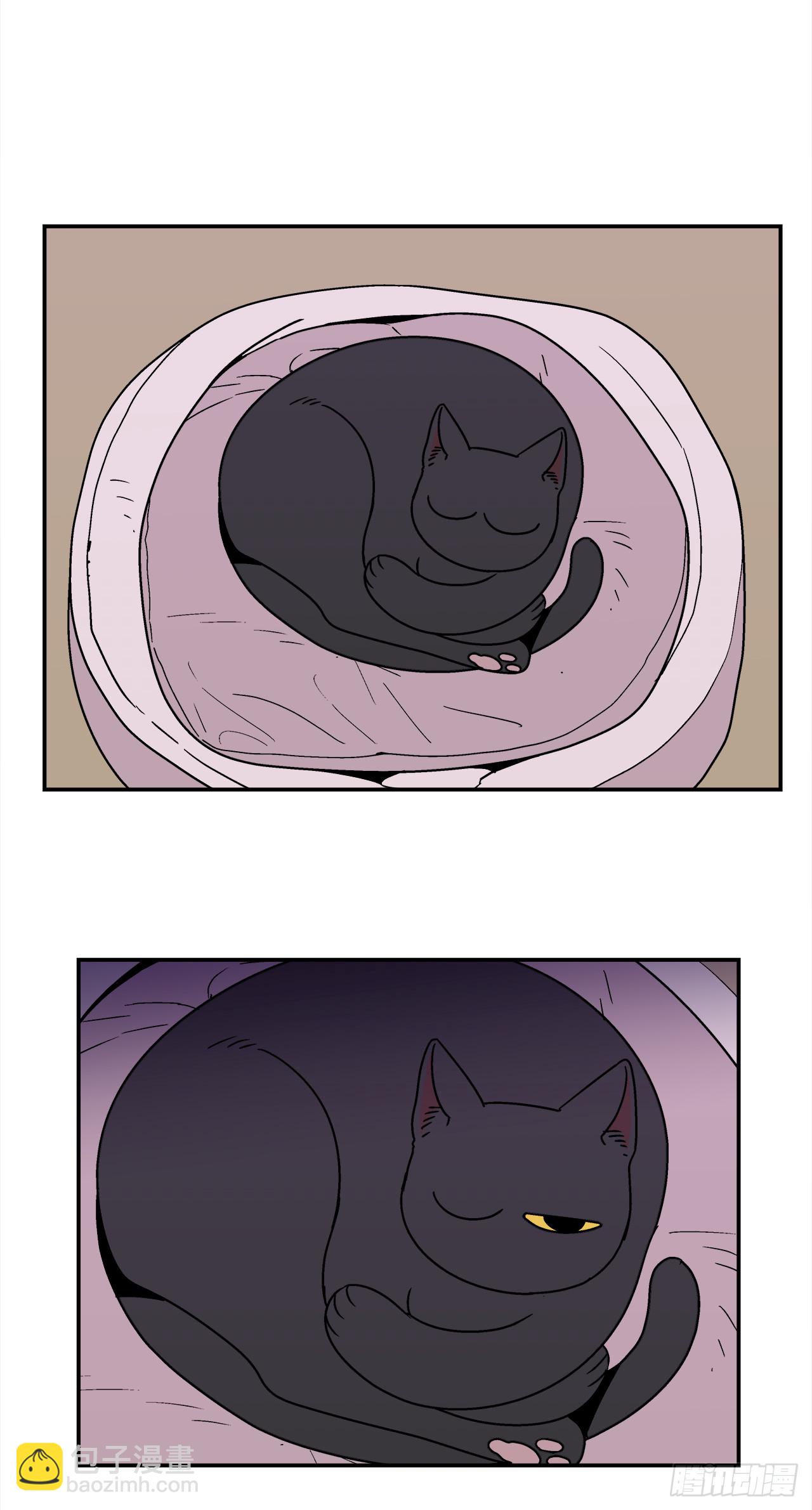 66.番外8 如何搞定猫咪-第67话