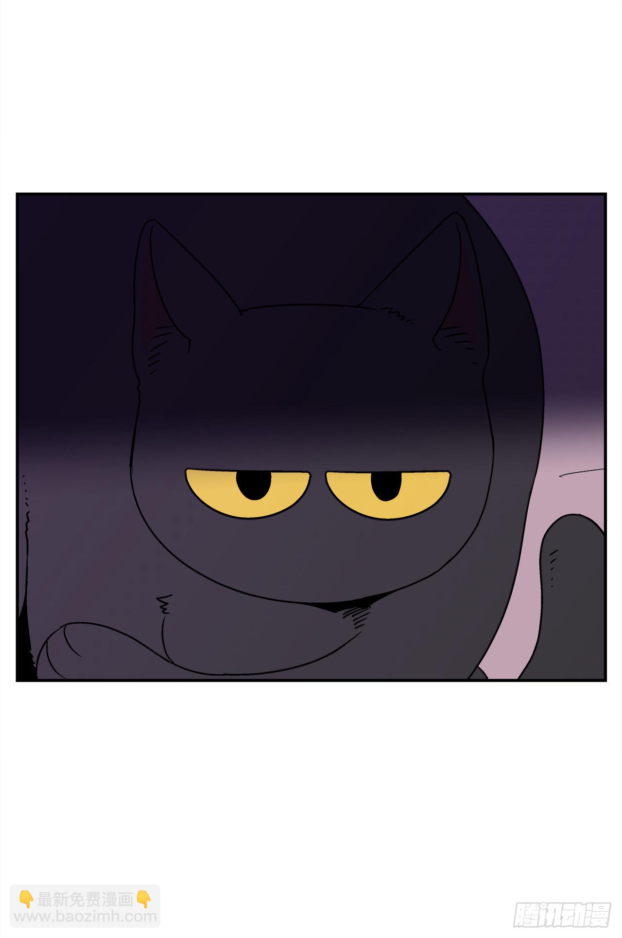 66.番外8 如何搞定猫咪-第67话