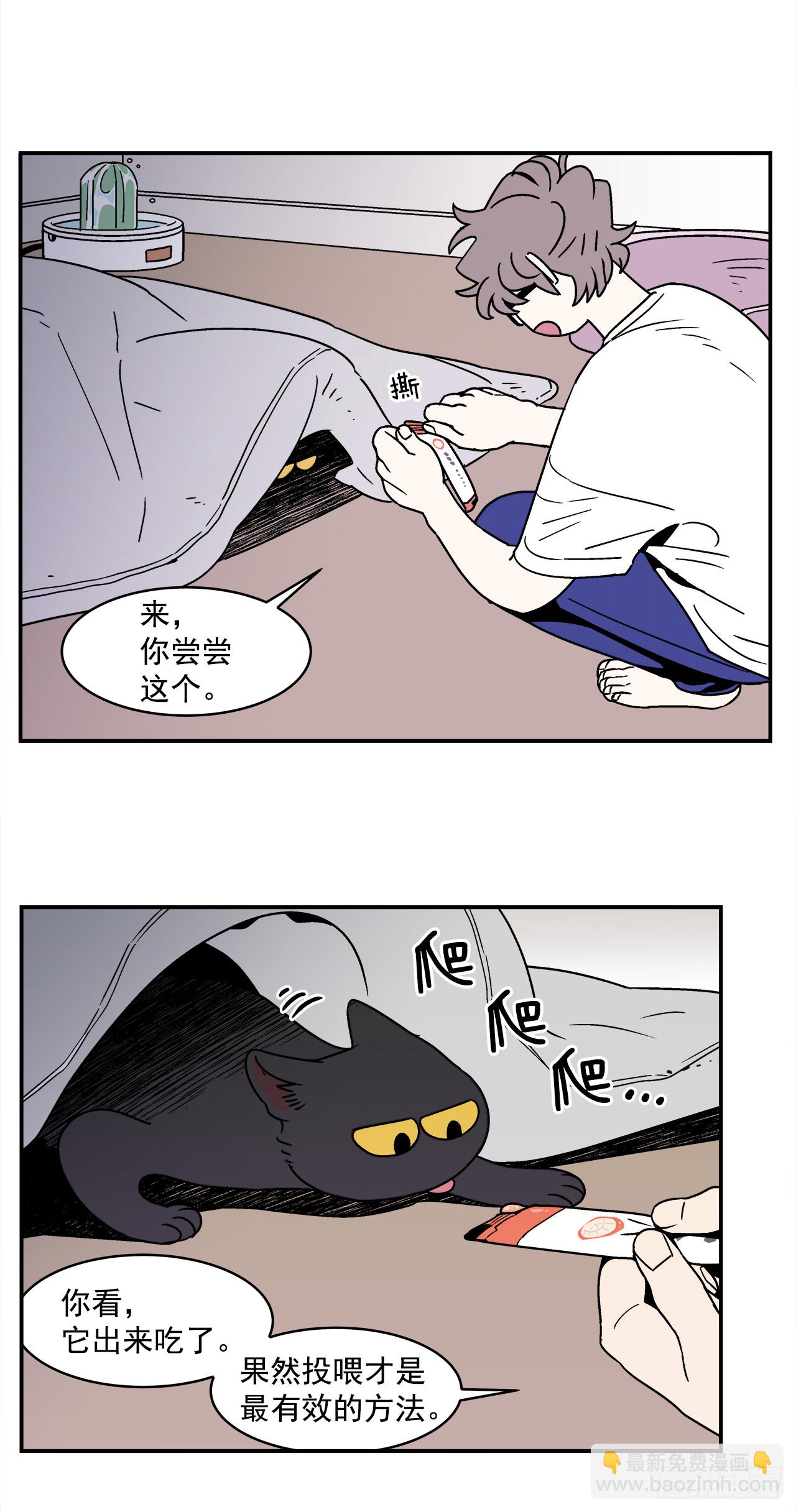 66.番外8 如何搞定猫咪-第67话