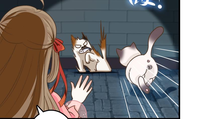 第11话 本命只爱小鱼干(1/2)-第11话