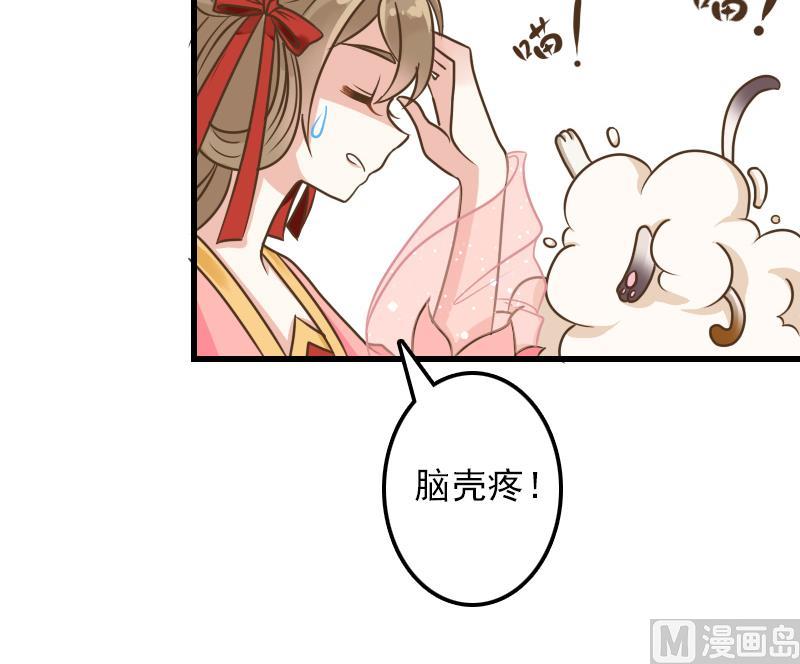 第11话 本命只爱小鱼干(1/2)-第11话