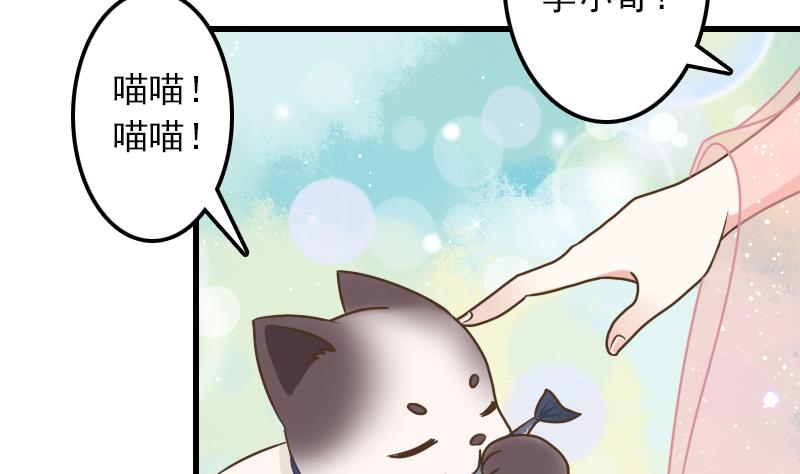 第11话 本命只爱小鱼干(1/2)-第11话