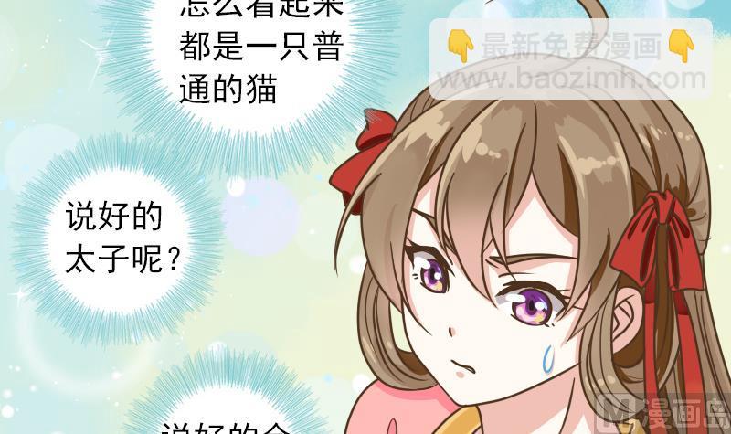 第11话 本命只爱小鱼干(1/2)-第11话