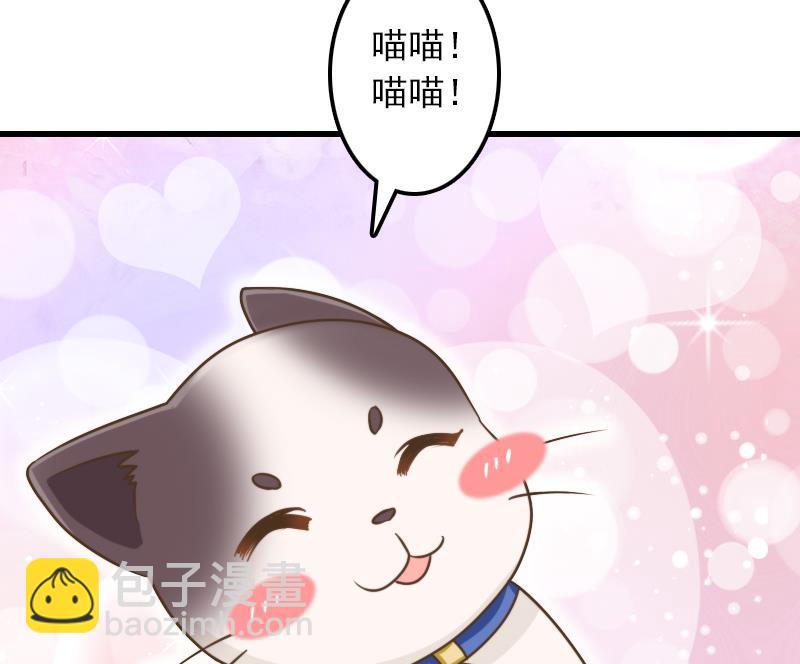 第11话 本命只爱小鱼干(1/2)-第11话