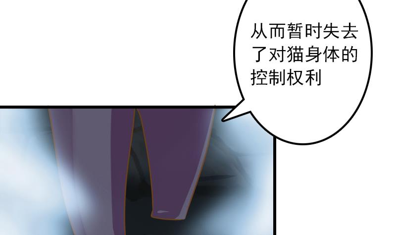 第11话 本命只爱小鱼干(1/2)-第11话