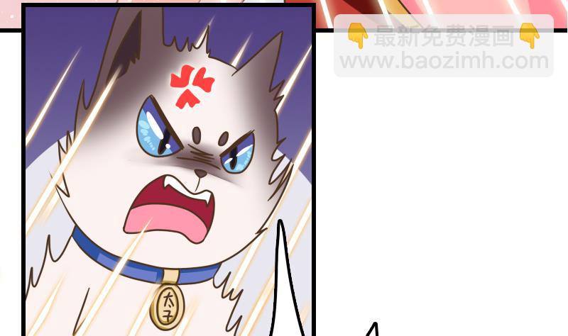 第13话 女人和宠物禁止入内(1/2)-第13话