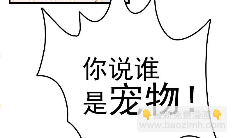 第13话 女人和宠物禁止入内(1/2)-第13话