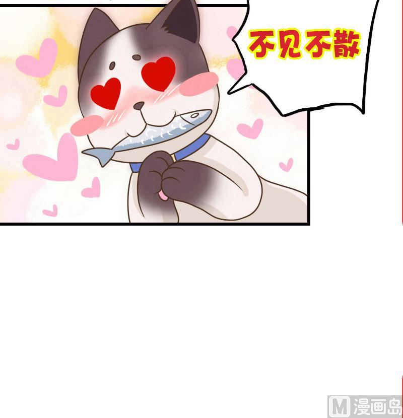 第35话 绿色健康食物-第35话