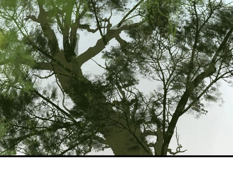 第13话 金风相逢玉露（下）(1/2)-第13话