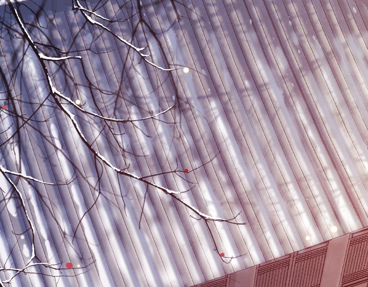 第12话 宫中人(1/4)-第15话