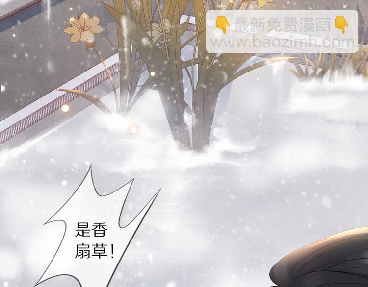 第14话 寻引药(1/3)-第17话