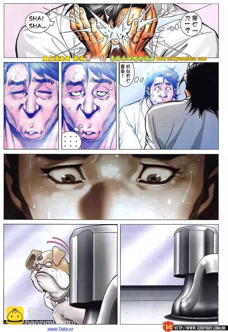 13.jpg