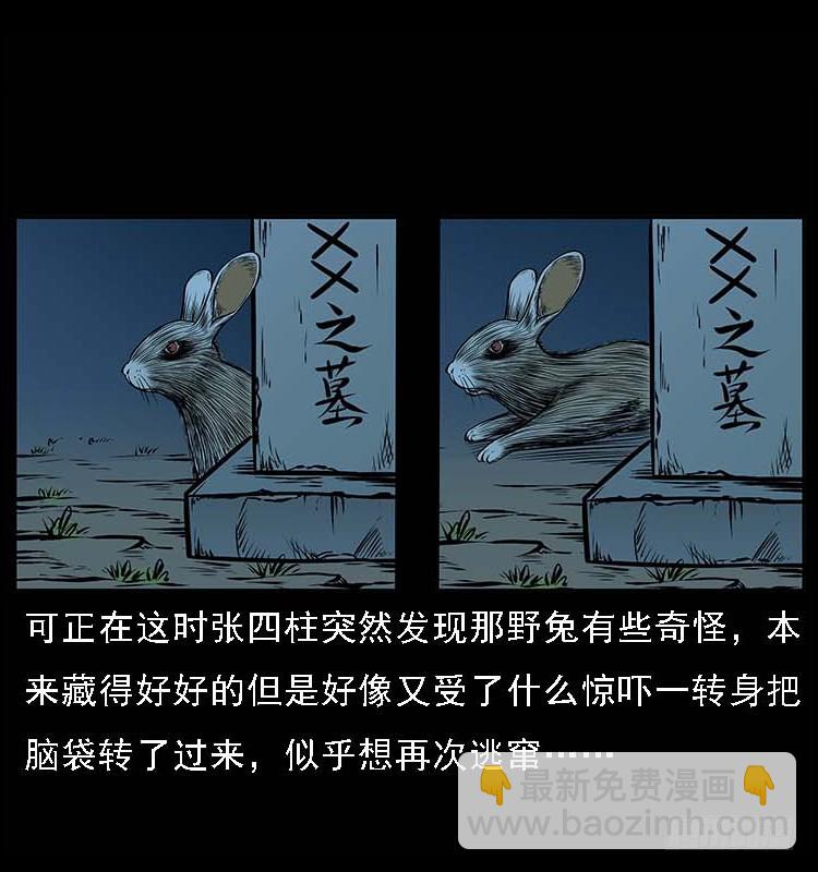 132坟地诡影(1/2)-第117话