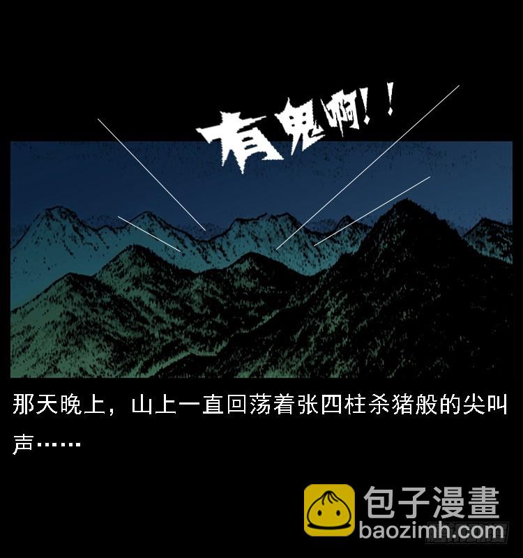 132坟地诡影(1/2)-第117话