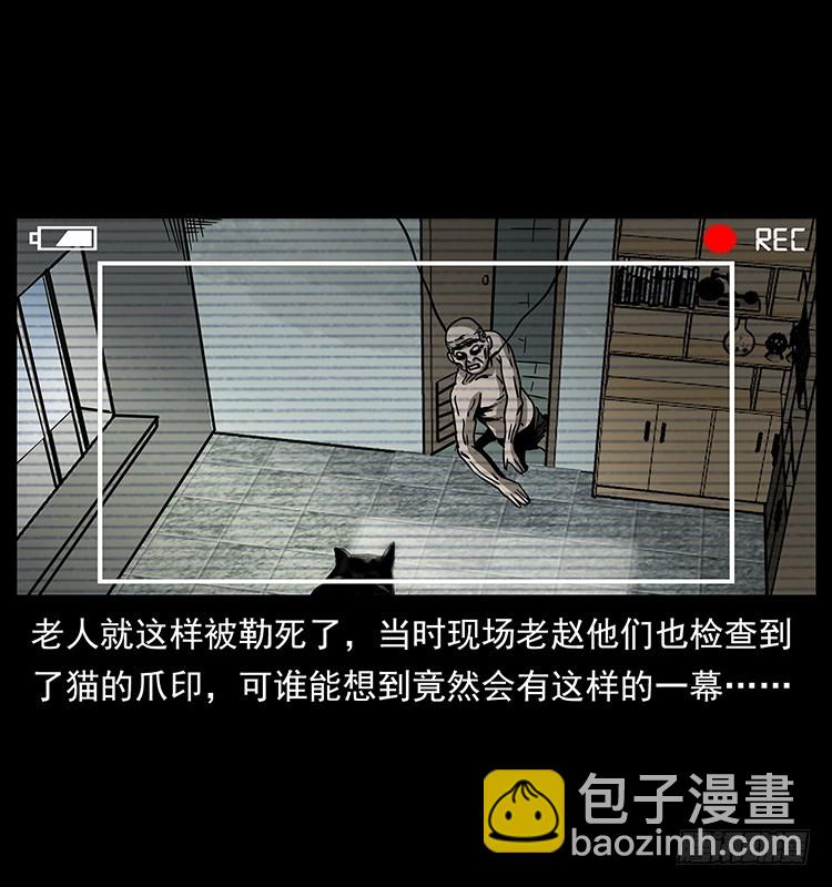 诡案录 - 141黑猫杀人事件(1/2) - 8