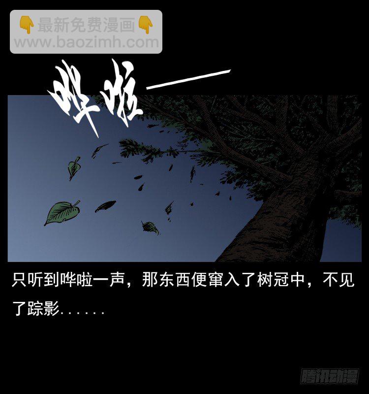 詭案錄 - 21抓捕吸血鬼1(1/2) - 8