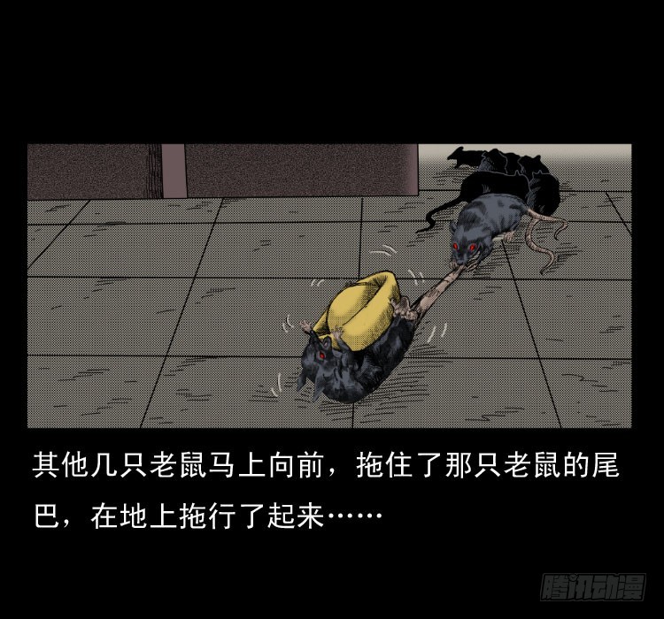 詭案錄 - 46驅鼠術(1/2) - 5