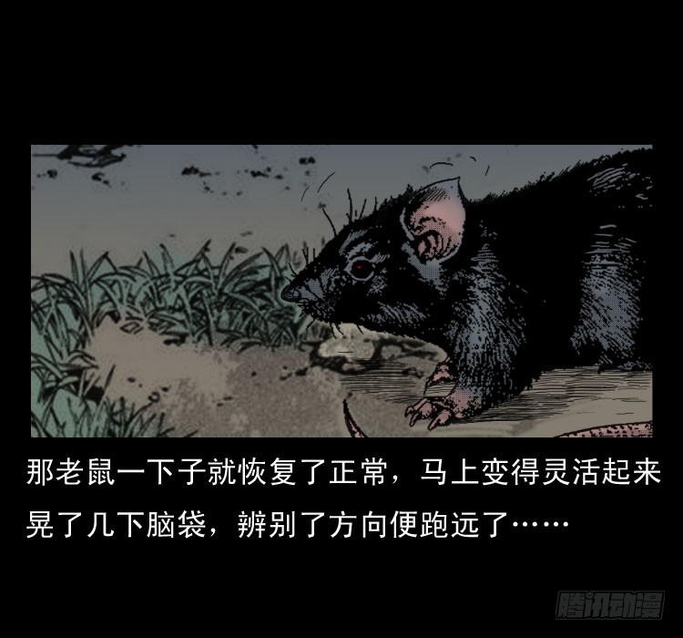 詭案錄 - 47灰仙兒（上）(2/2) - 2