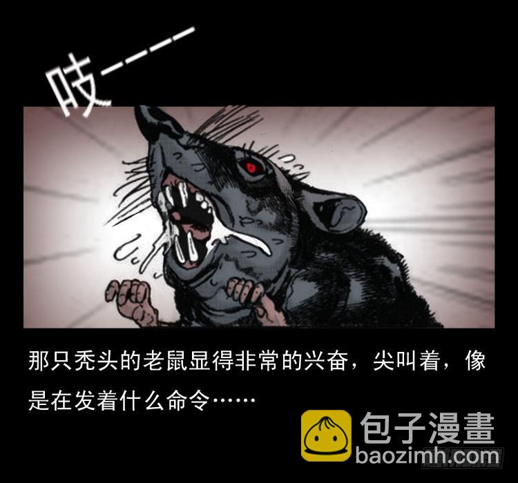 48灰仙儿（下）(1/2)-第67话